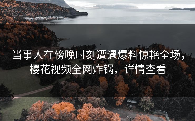 当事人在傍晚时刻遭遇爆料惊艳全场，樱花视频全网炸锅，详情查看