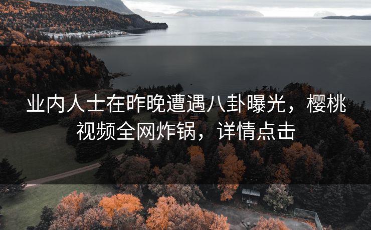 业内人士在昨晚遭遇八卦曝光，樱桃视频全网炸锅，详情点击